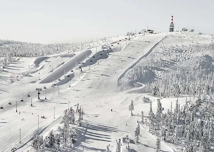 公寓 兰塔卢卡二号公寓 *