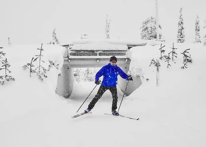 公寓 兰塔卢卡二号公寓 *