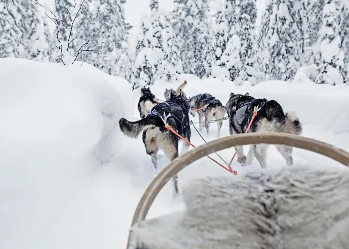 兰塔卢卡二号公寓 鲁卡